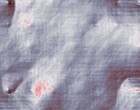 telefongebuehr 0180