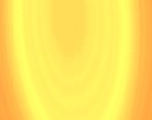 festnetz t